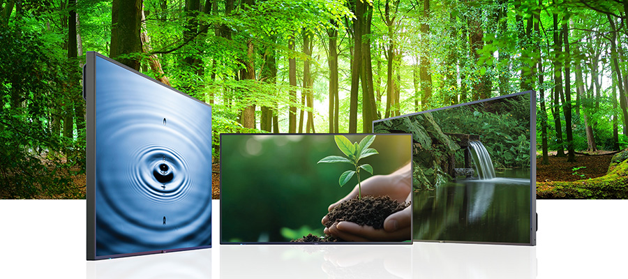 Three large format displays in front of a forest backdrop
