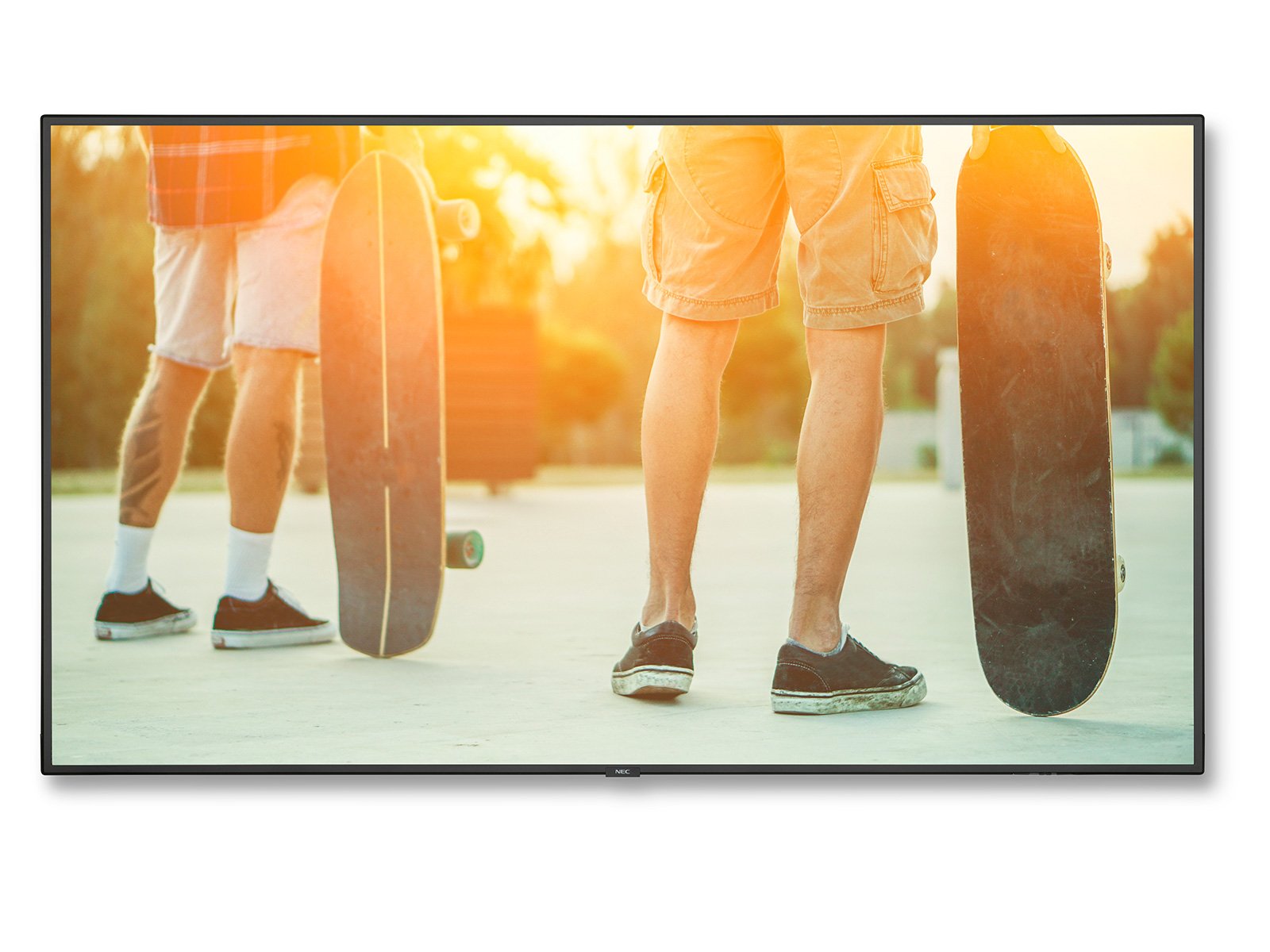 NEC MultiSync<sup>®</sup> V754Q