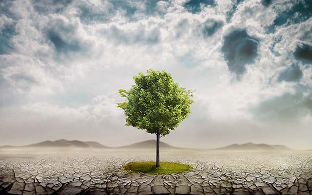 teaserImage_HowDoWeThrive