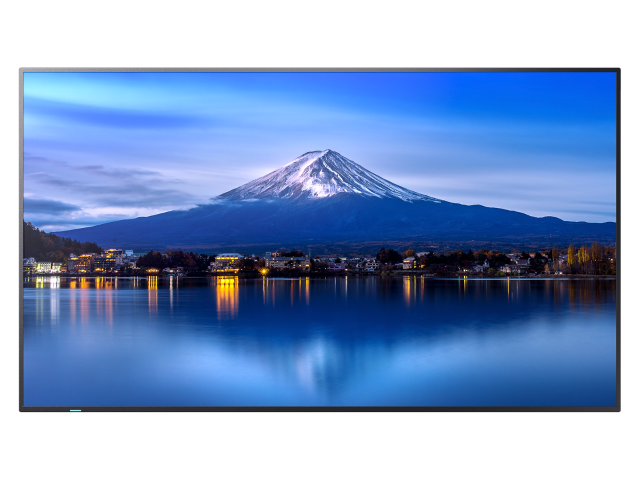 Sharp MultiSync® P436