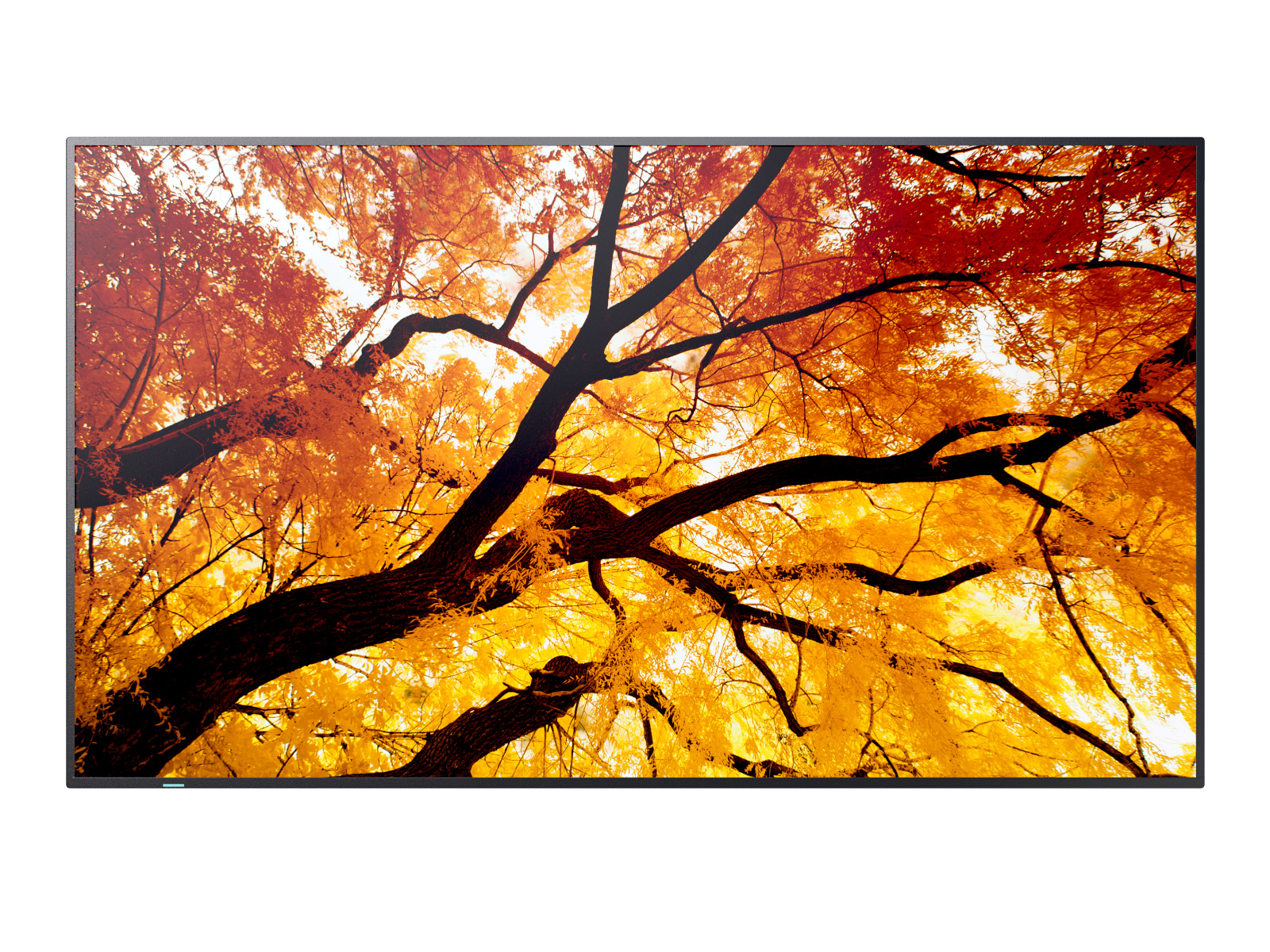 Sharp MultiSync<sup>®</sup> M752